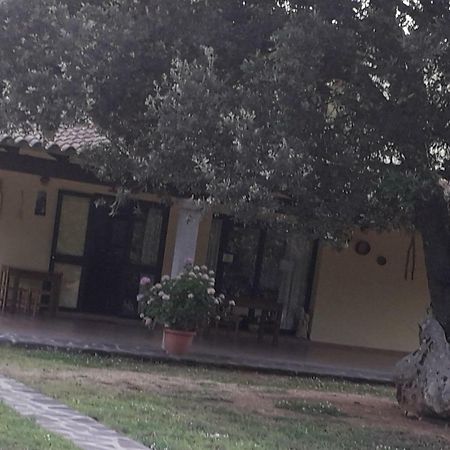 Agriturismo La Tuva Villa Padru Kültér fotó