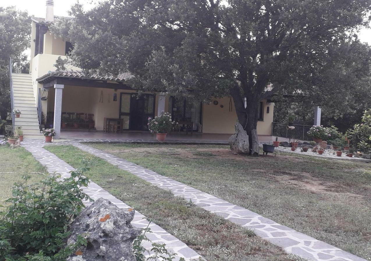 Agriturismo La Tuva Villa Padru Kültér fotó