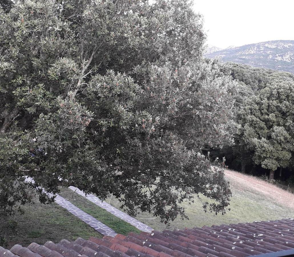 Agriturismo La Tuva Villa Padru Kültér fotó