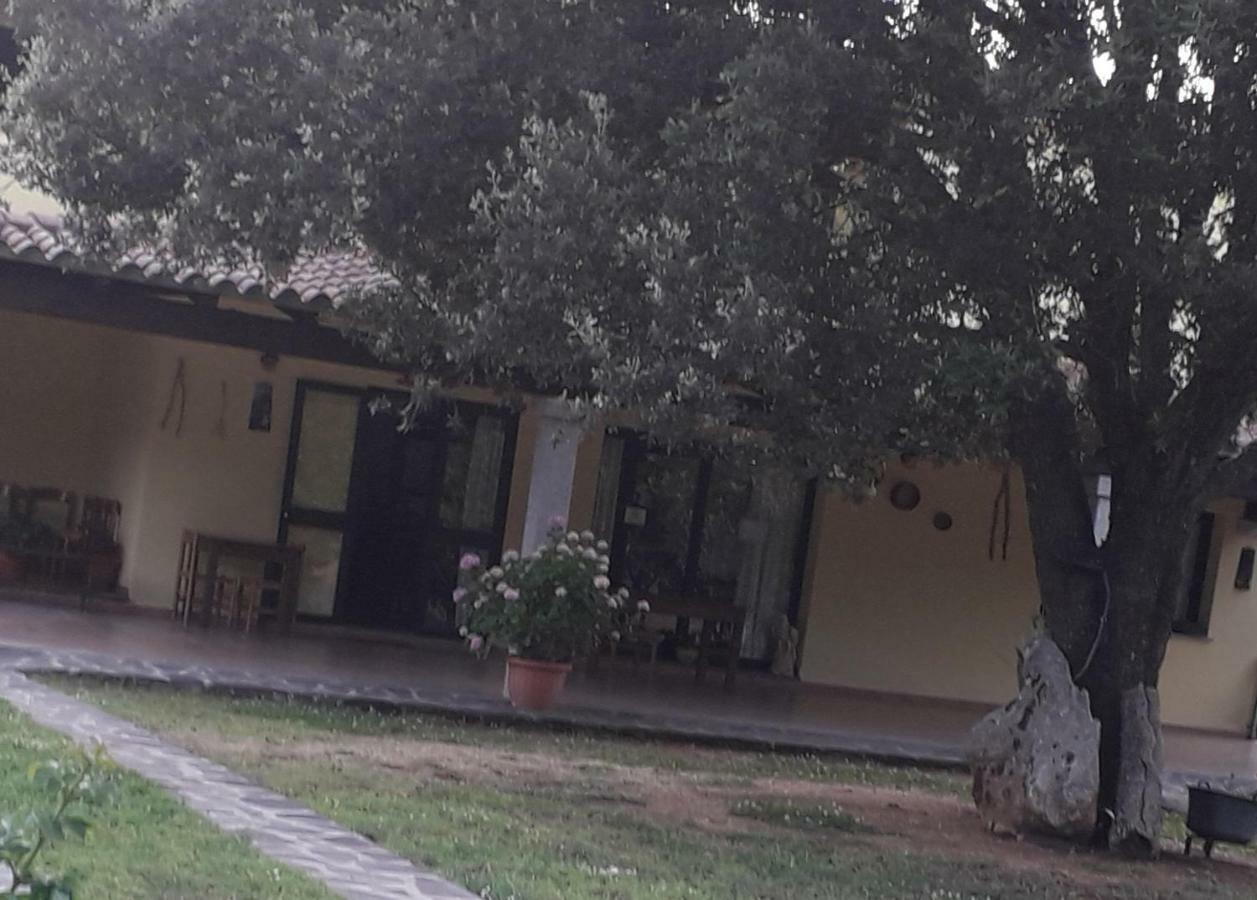 Agriturismo La Tuva Padru Kültér fotó